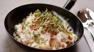 Curd cheese pasta, crispy bacon, sour cream